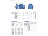 Насос центробежный Pedrollo 2CPm 32/200C